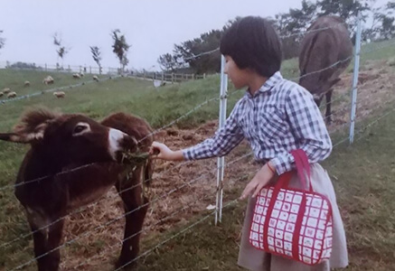鞍ヶ池公園でエサをあげている様子の写真